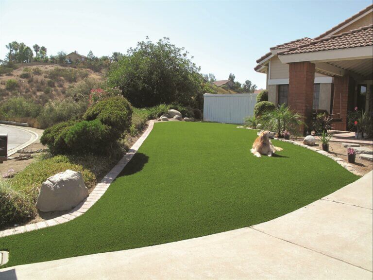 Artificial turf with a dog sitting on it