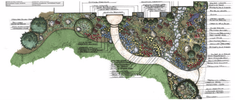 Illustrated backyard landscape design